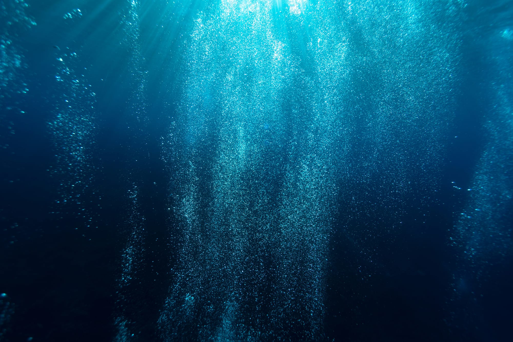 Deep blue water with a flurry of air bubbles from scuba divers, 20m below the surface.