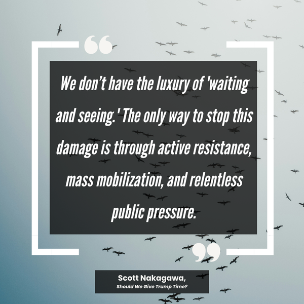 Photo of a flock of geese with a quote on top that begins: "We don’t have the luxury of “waiting + seeing.”"