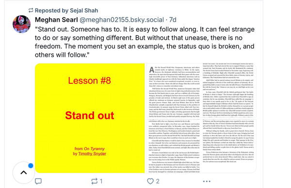 Screenshot of a Timothy Snyder quote from On Tyranny that begins "Lesson #8: Stand out. Someone has to. It is easy to follow along. It can feel strange to do or say something different..."